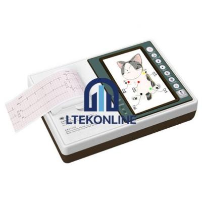 Real-Time Monitoring of Veterinary ECG Machine